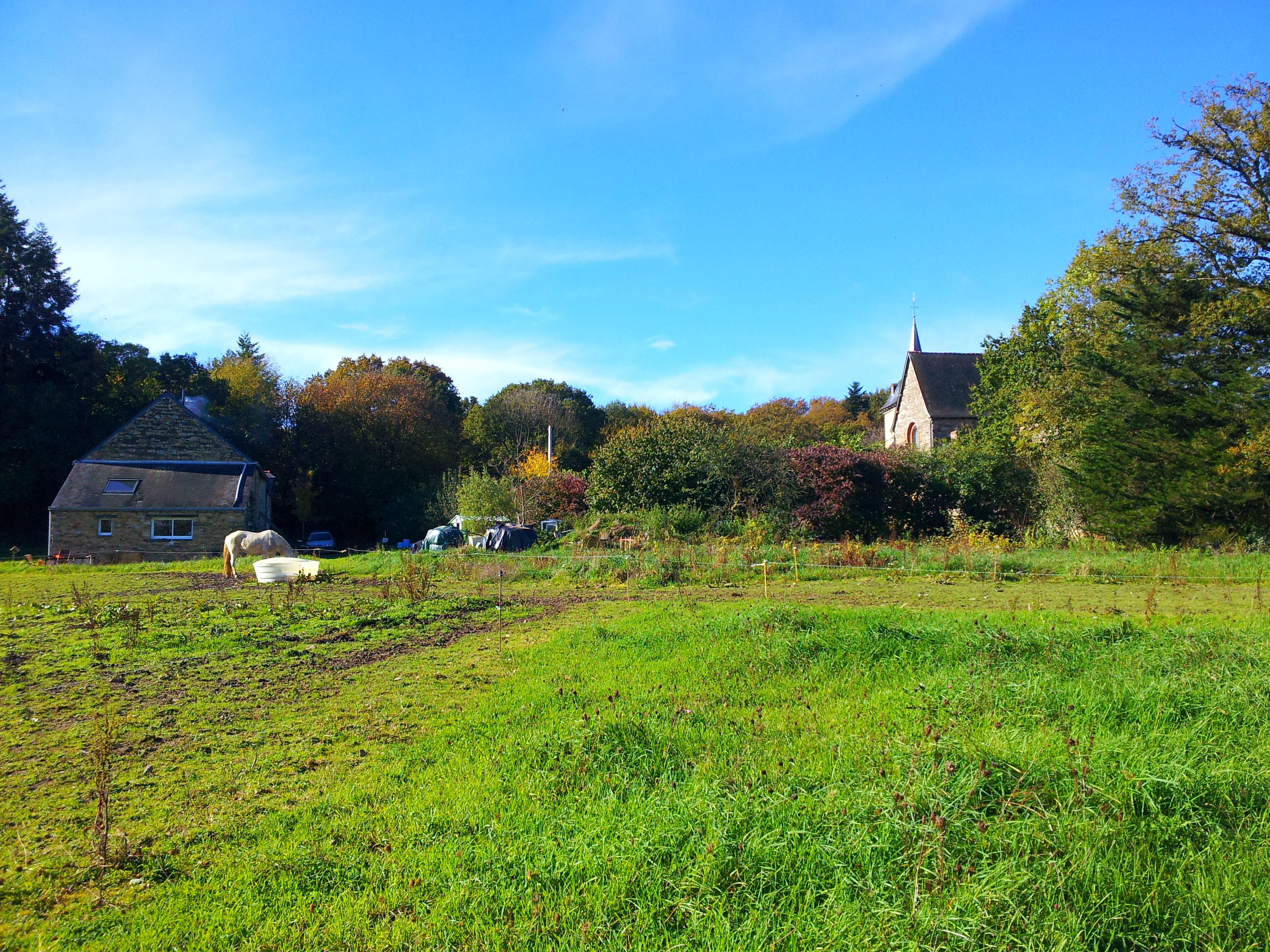 Les Achillees_121844