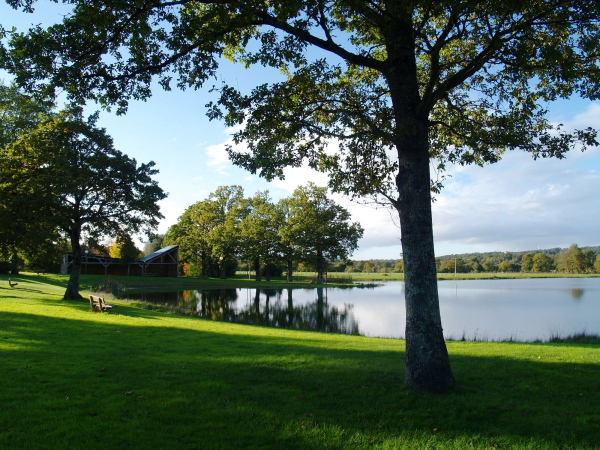 Bovel_achillees_etang