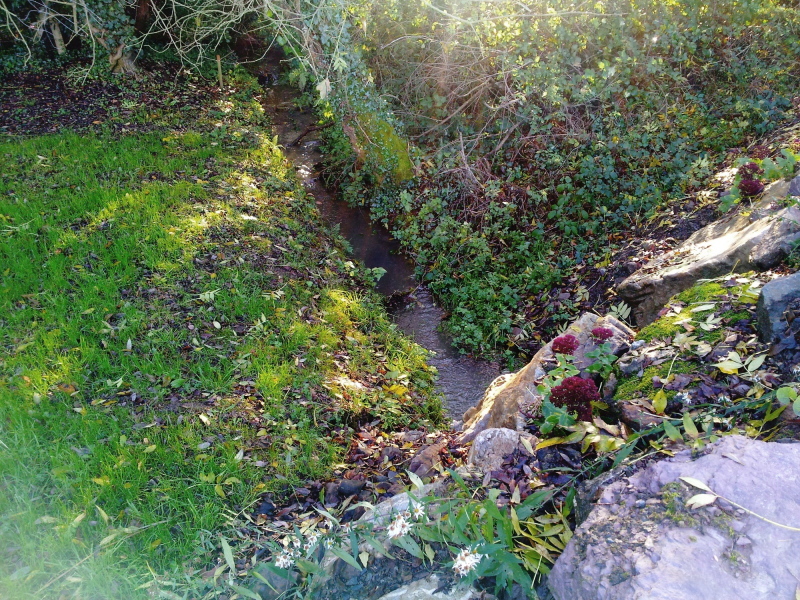 Les Achillées - Ruisseau