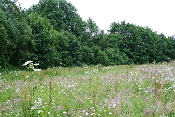 bovel-lesachillees_9558