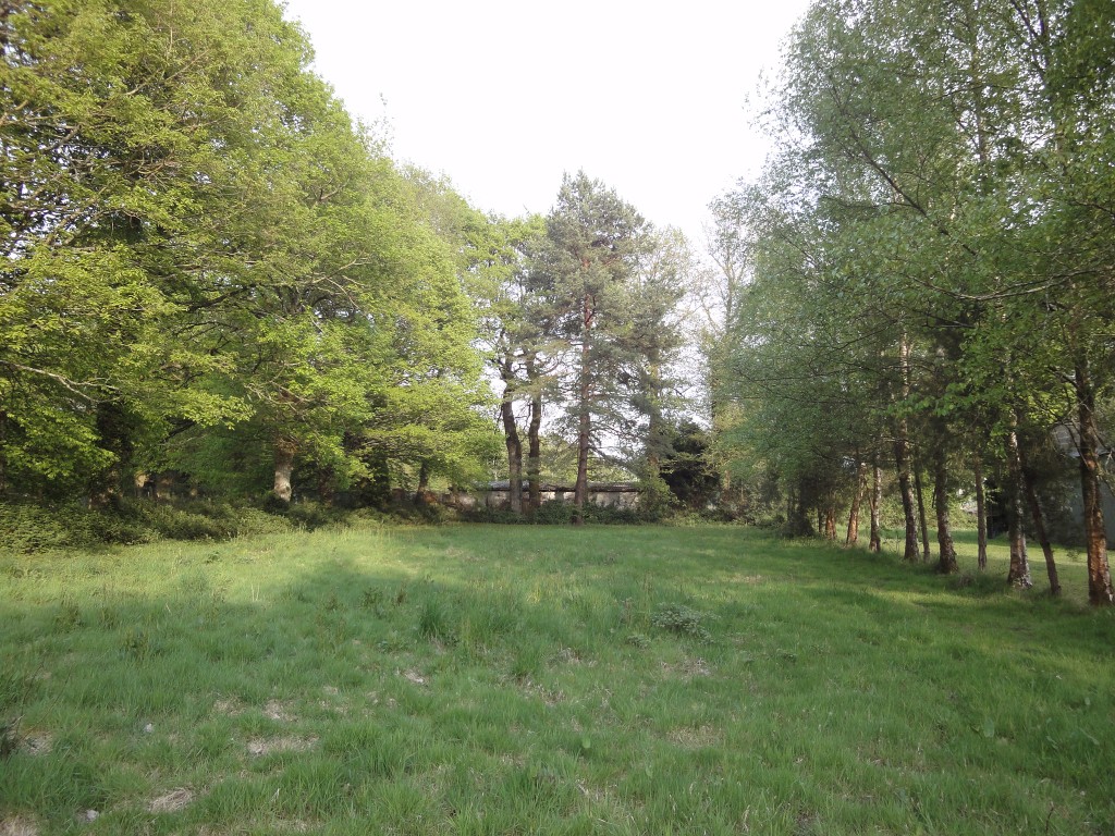Le terrain vu vers le sud-est